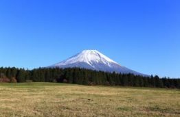 Priimamos paraiškos metų trukmės stažuotėms Japonijoje