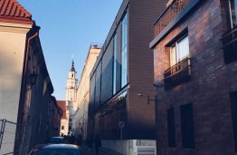 Darnūs miestai Lietuvoje: kokias urbanistines piktžaizdes turėtų gydyti naujieji savivaldybių vadovai?
